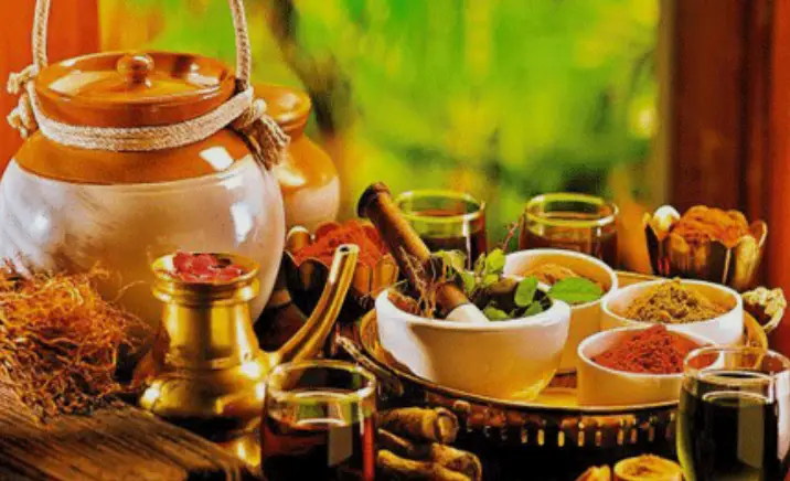bldea-avs-ayurveda